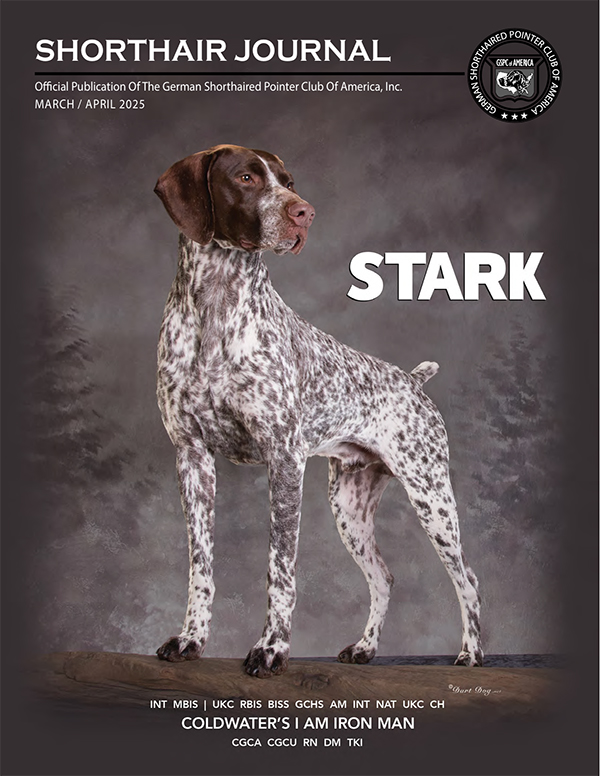 German shorthair club of hot sale america